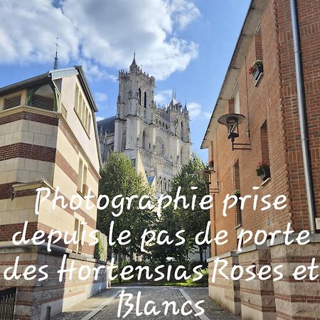Les Hortensias Blancs Studio Amiens Esterno foto