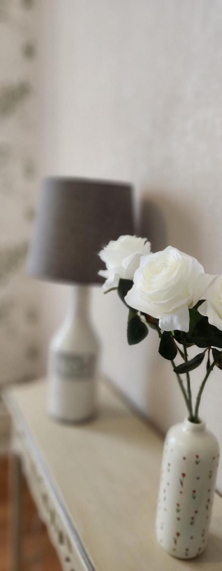 Les Hortensias Blancs Studio Amiens Esterno foto