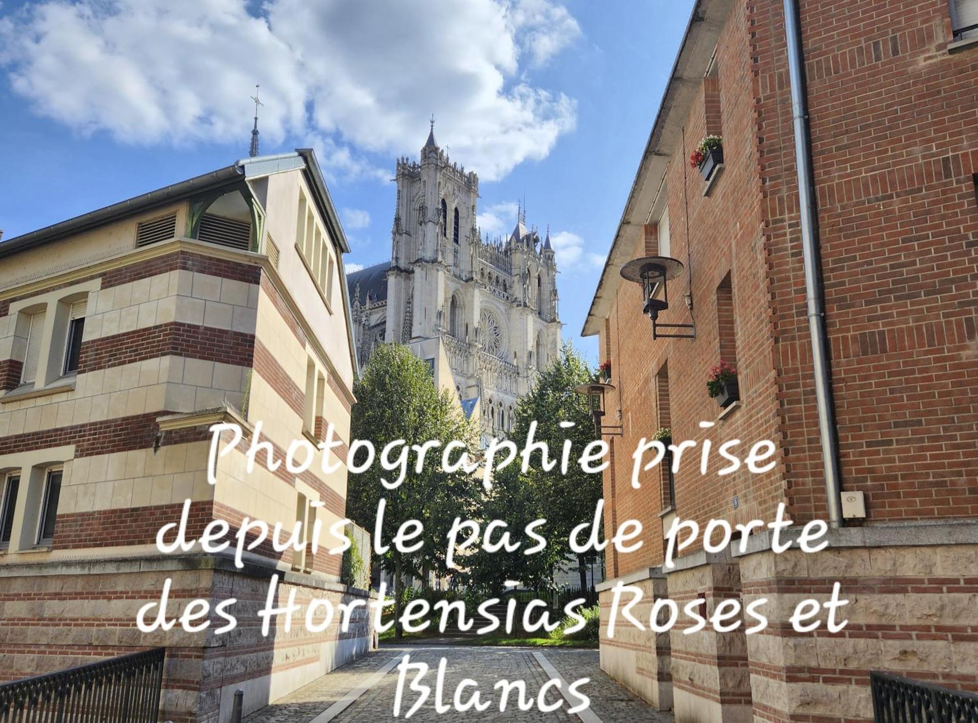 Les Hortensias Blancs Studio Amiens Esterno foto